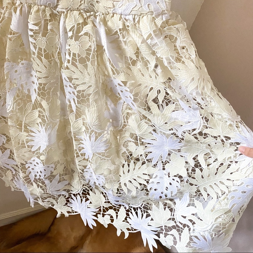 Dress the Population White and Cream Lace Midi Dress - Picture 3 of 8